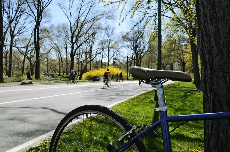 Book your bicycle rental in Central Park