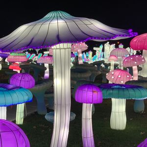 Luminocity : a festival of lights and art in New York City