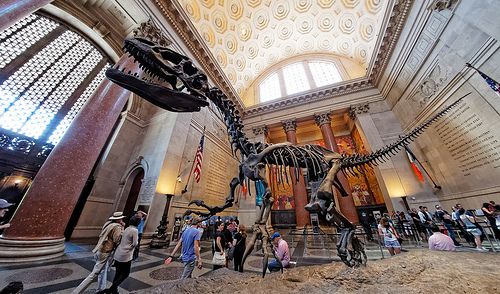 Dinosaur at the American Museum of Natural History in New York
