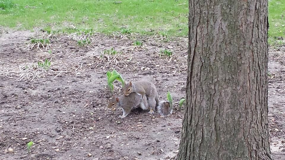 Washington Square Park