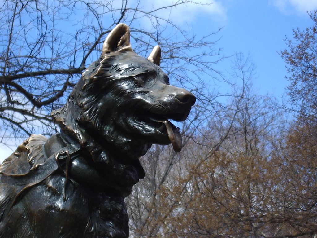 Balto: the only dog with a statue in New York