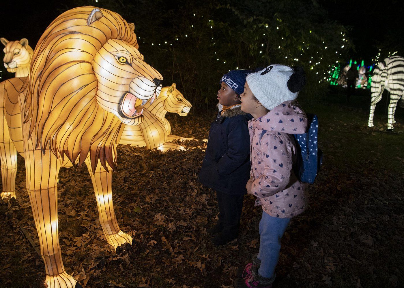 Tickets for Bronx Zoo Holiday Lights