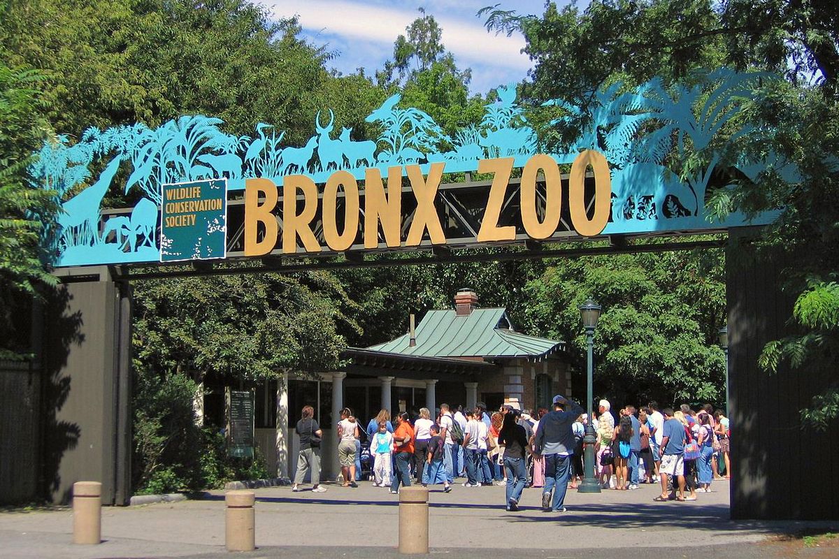 Bronx Zoo: New York’s Largest Zoo