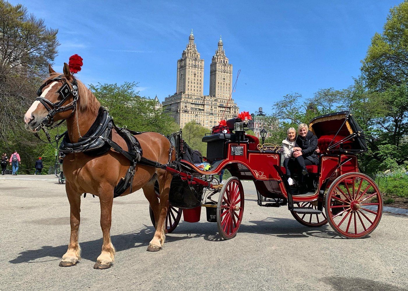 Horse-drawn carriage ride in Central Park, New York
