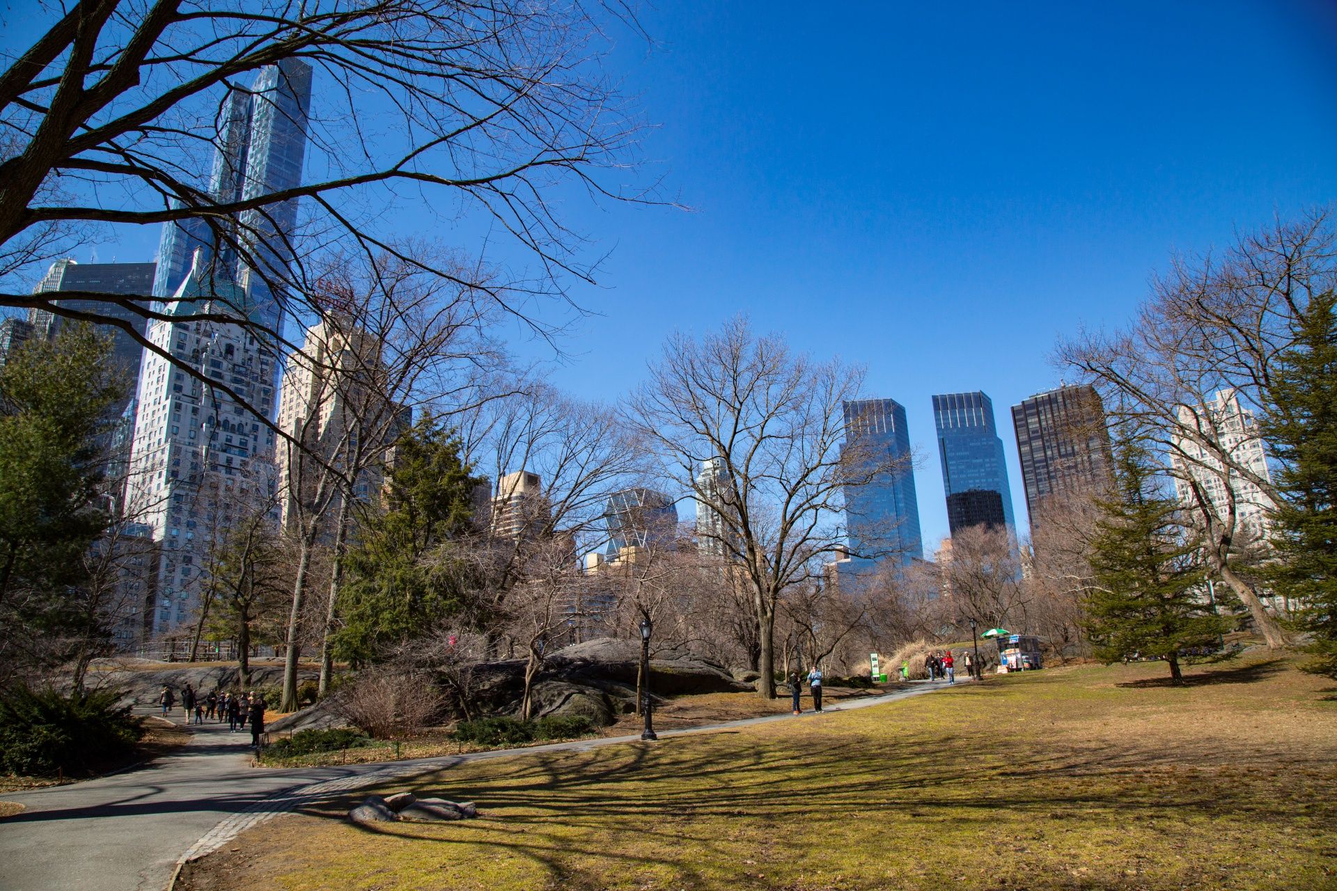 Central Park in March
