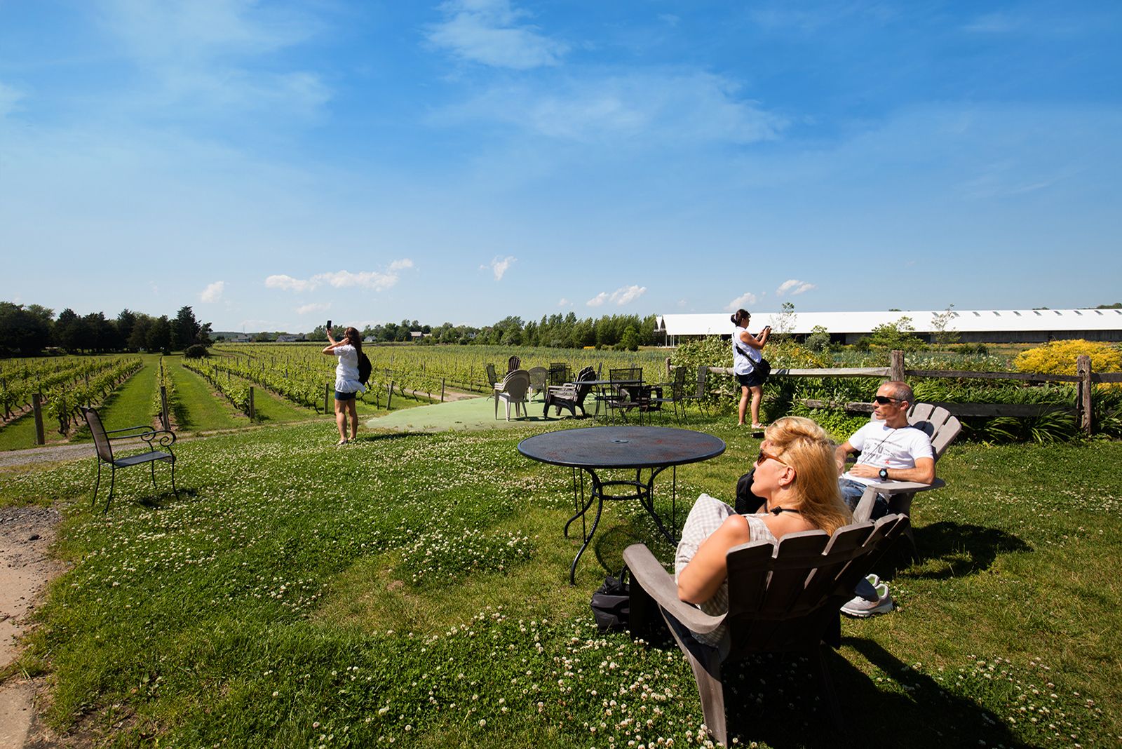Visitors at a vineyard in the Hamptons