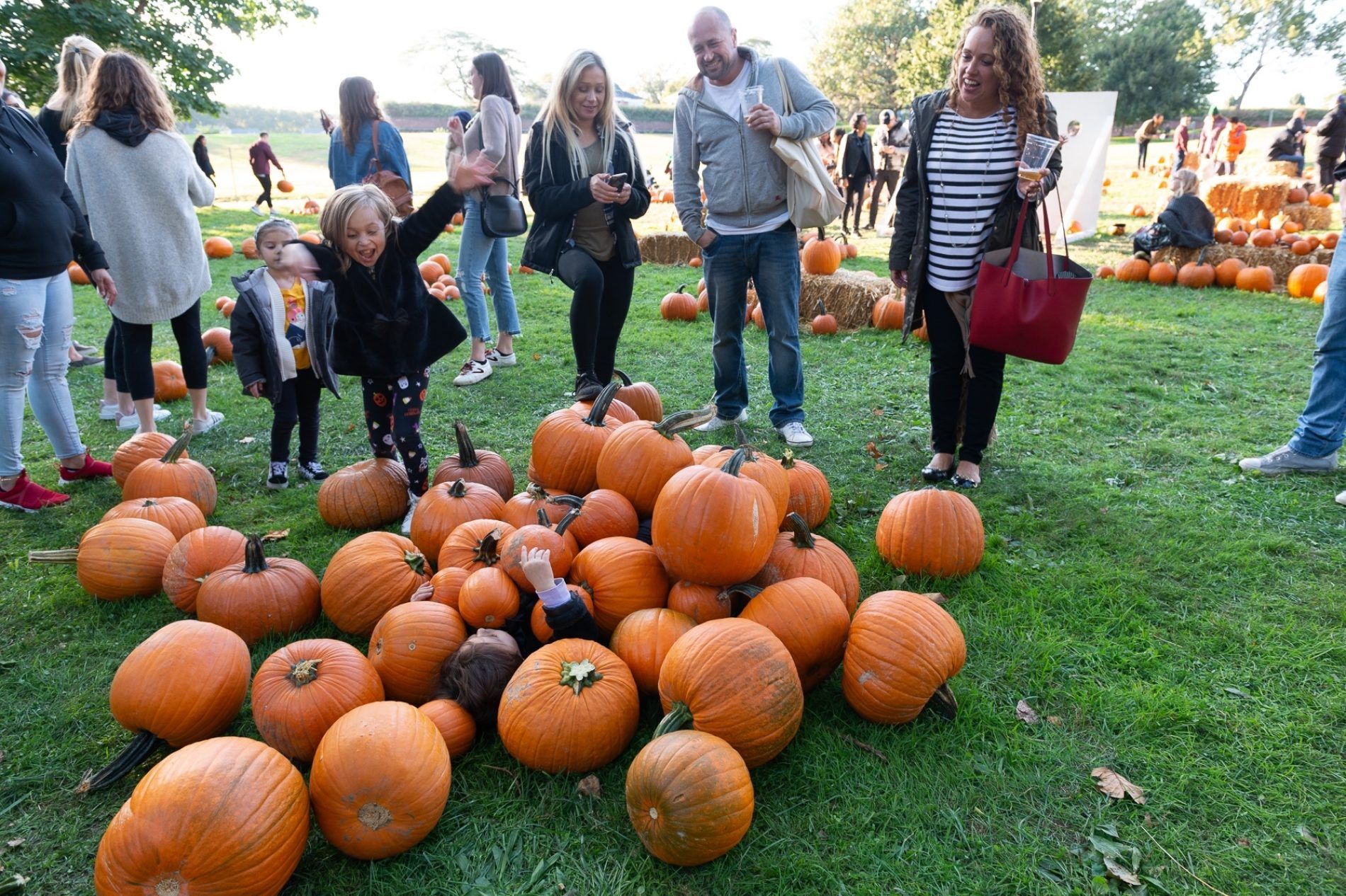 halloween governors island