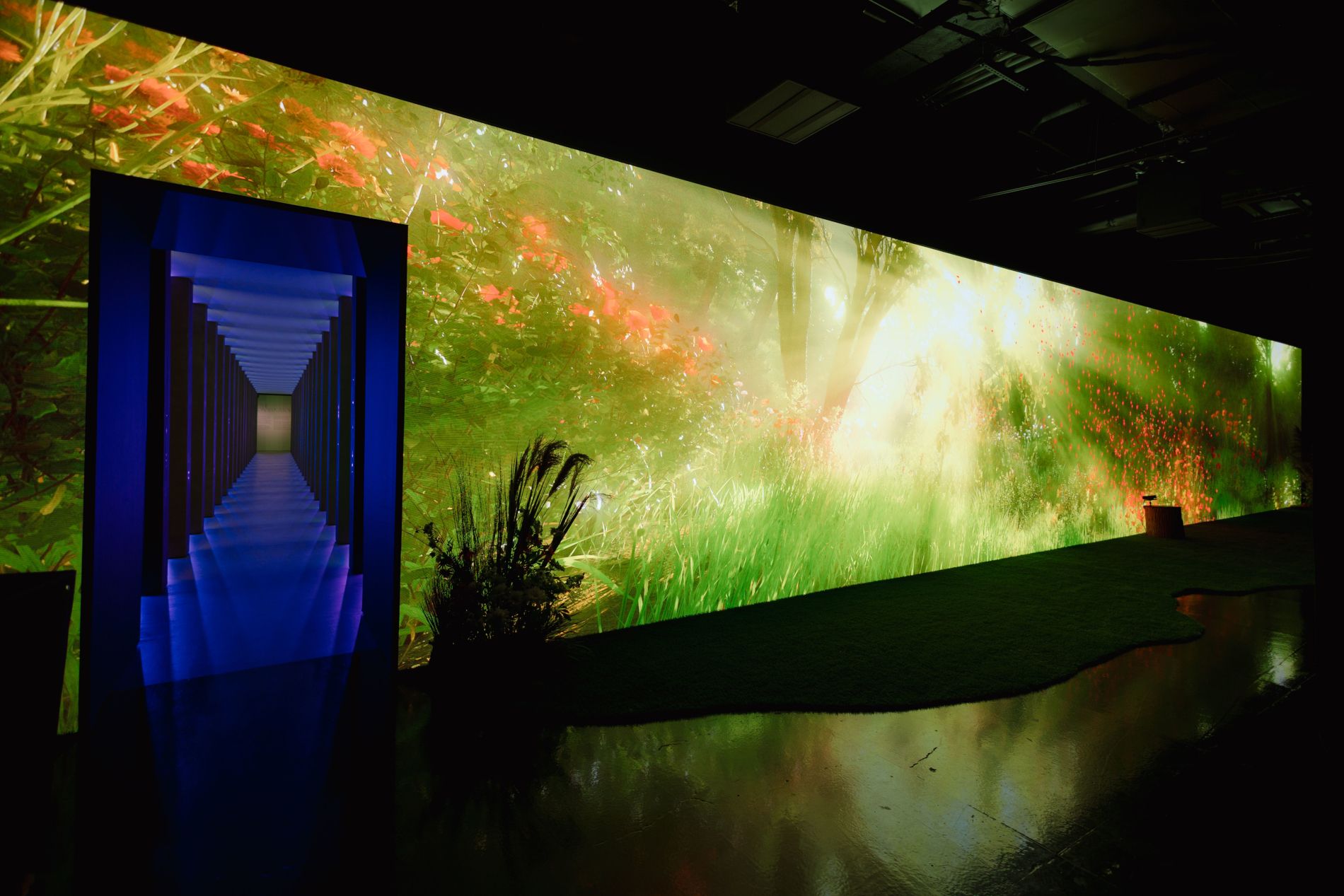 Entrance to the BLOOM exhibition at HERO museum in New York