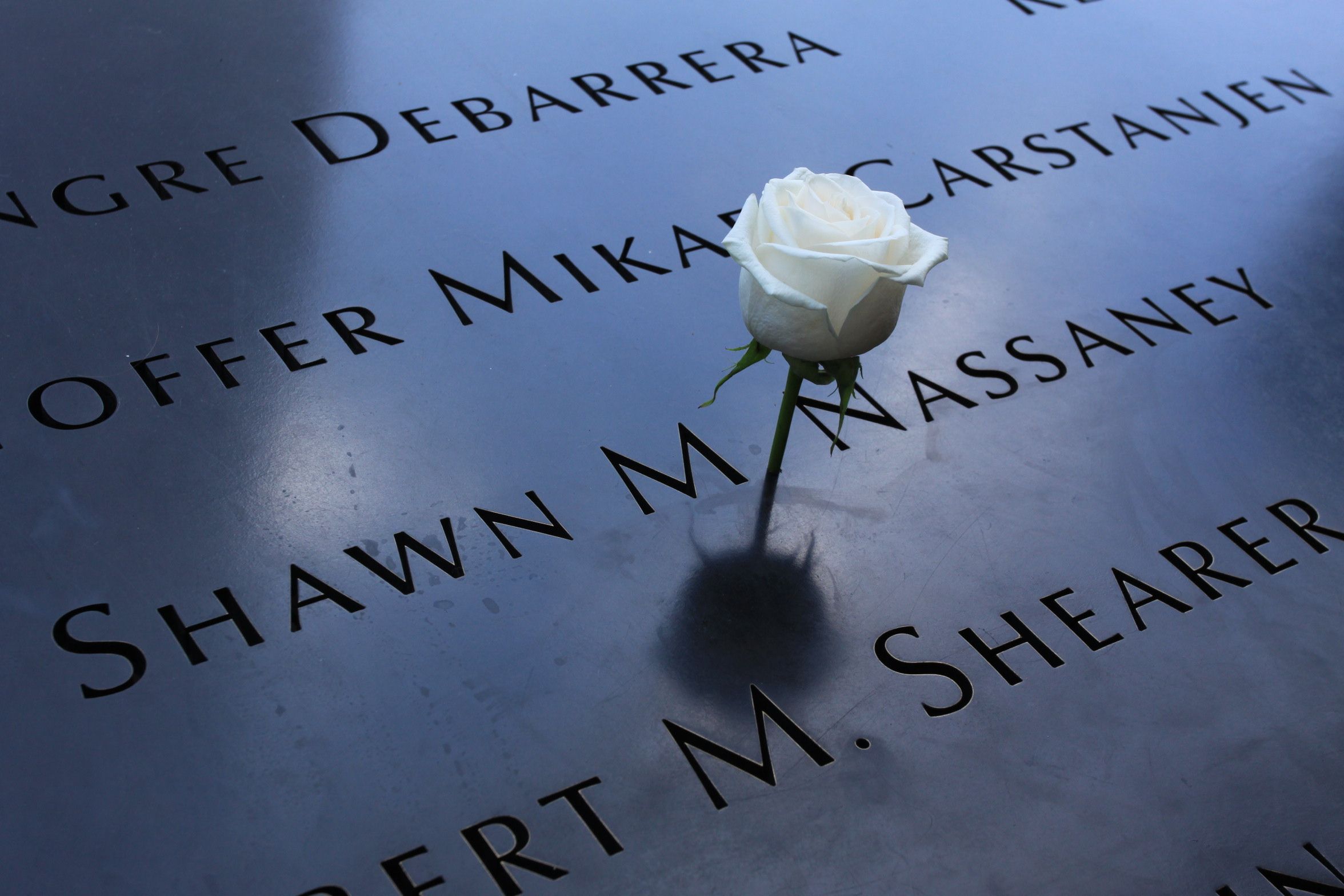 What do the white roses mean at the 9/11 Memorial in New York?