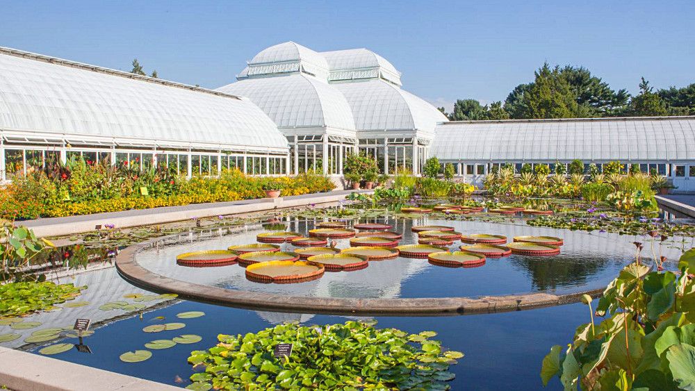 New York Botanical Garden: the largest garden in the USA
