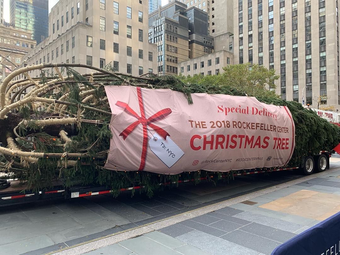 Rockefeller Center Christmas tree