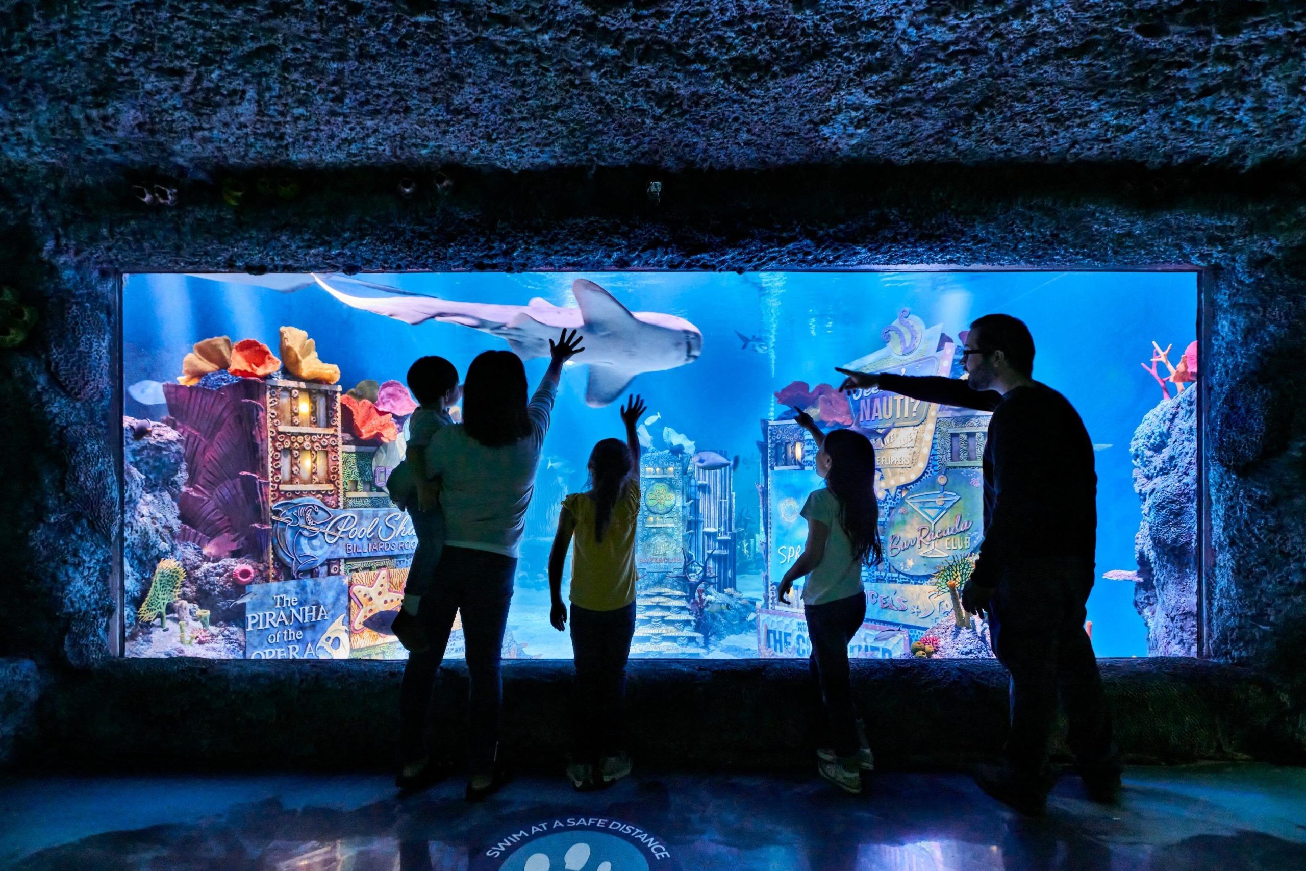 Family in front of a tank at SEA LIFE aquarium at American Dream in New York