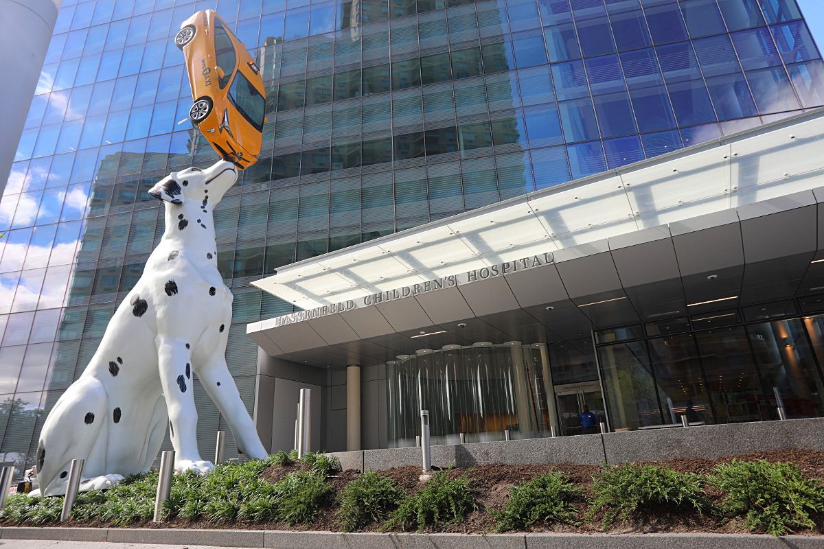 Spot, an unusual sculpture to see in New York