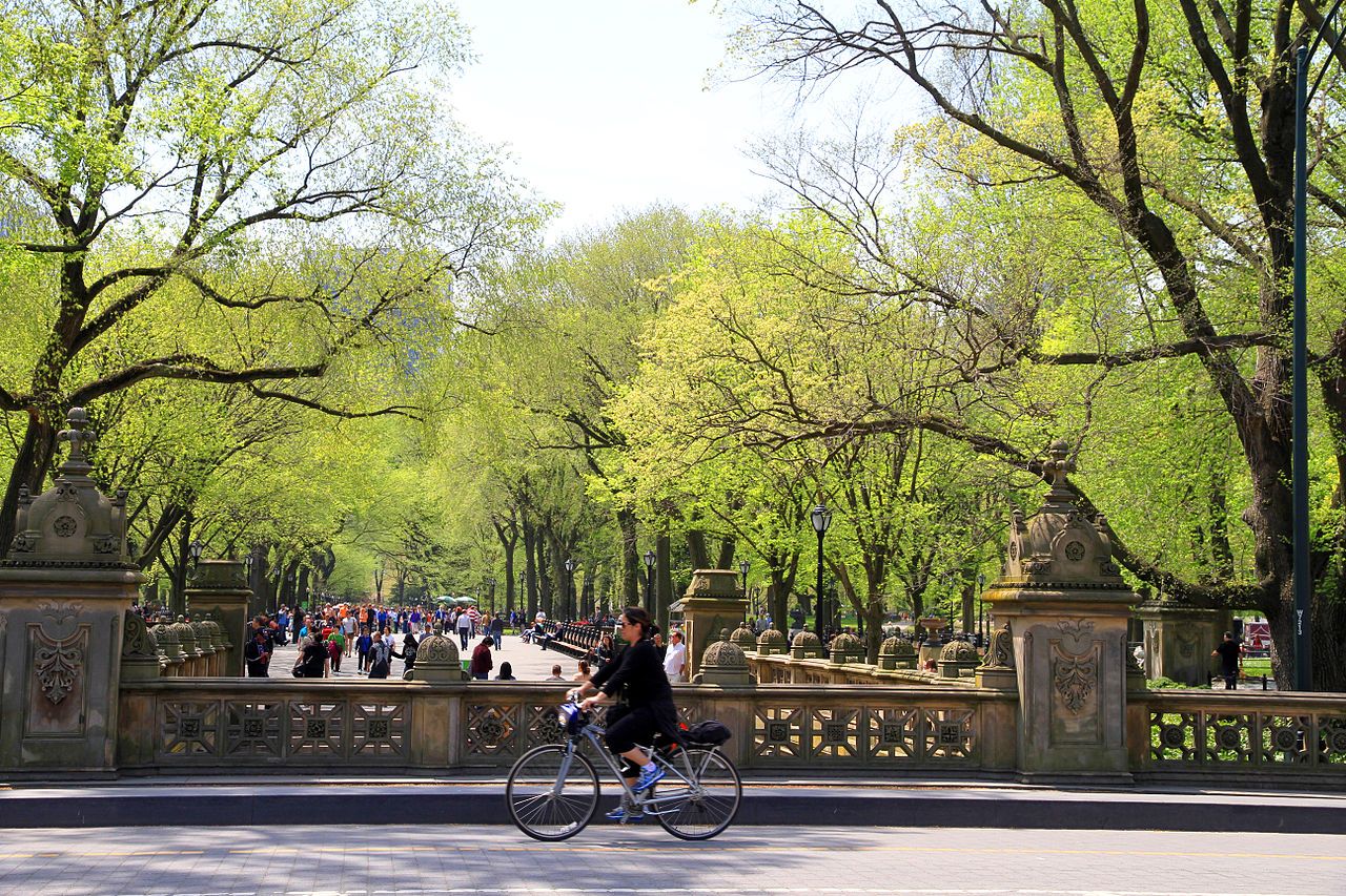 velo central park